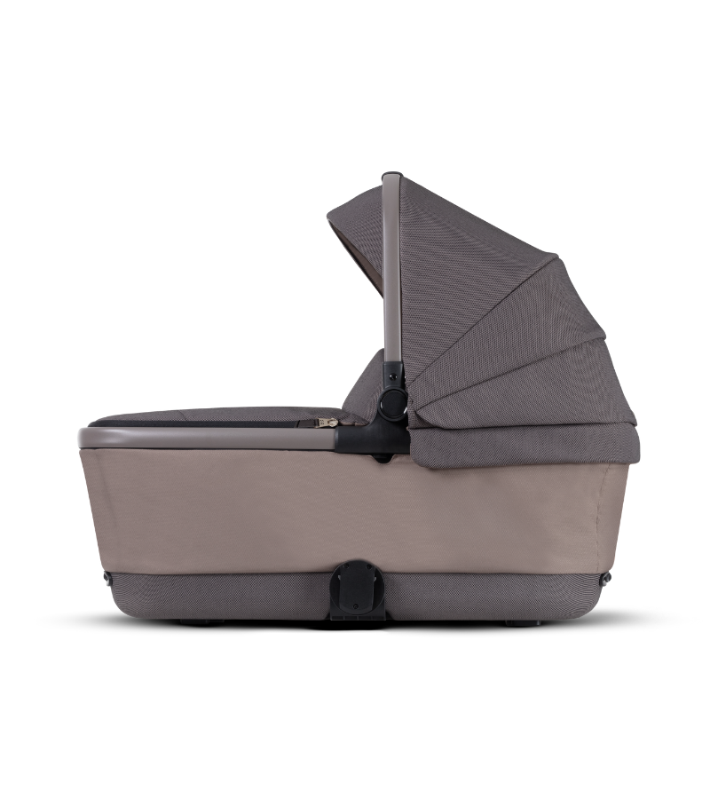 Reef Bassinet