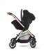 Dune Stroller